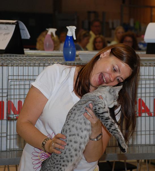 090719_jarva_kk_mira_fonsen.jpg - FIFe judge Mira Fonsen inspects an Egyptian Mau