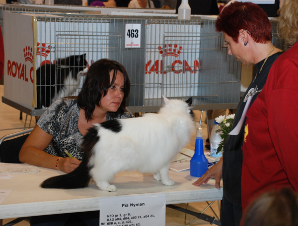 090719_jarva_kk_vitora_1.jpg - FIFe judge Pia Nyman with GIP S*Forrest Fruits Aishiteru, owner Ingrid Holmqvist