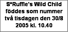 Textruta: S*Ruffle's Wild Child föddes som nummer två tisdagen den 30/8 2005 kl. 10.40