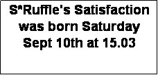 Textruta: S*Ruffle's Satisfaction was born Saturday Sept 10th at 15.03
