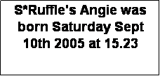 Textruta: S*Ruffle's Angie was born Saturday Sept 10th 2005 at 15.23