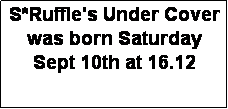 Textruta: S*Ruffle's Under Cover was born Saturday Sept 10th at 16.12